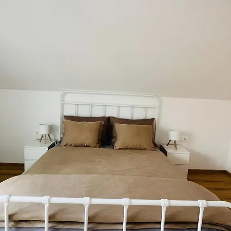 Apartma Dudi ホームステイ Koritno