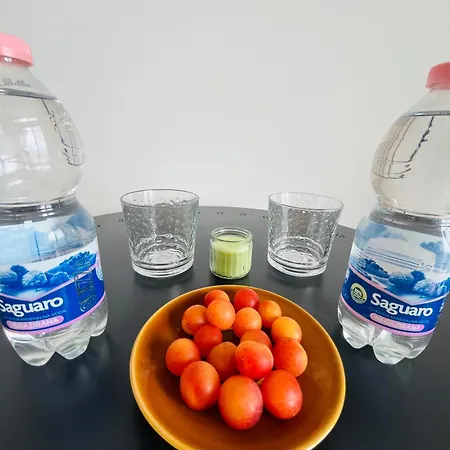 Apartma Dudi